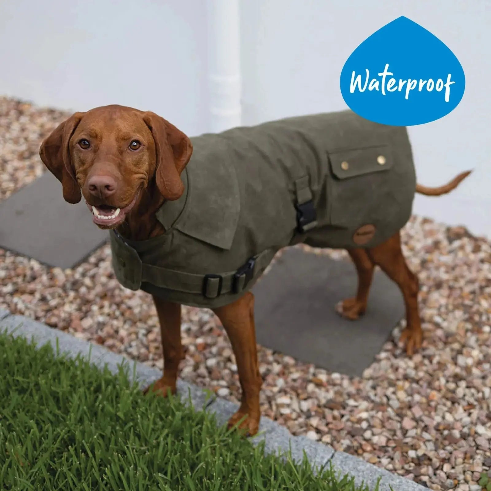 Kazoo Aussie Oilskin Waterproof Dog Coat - Olive Kazoo