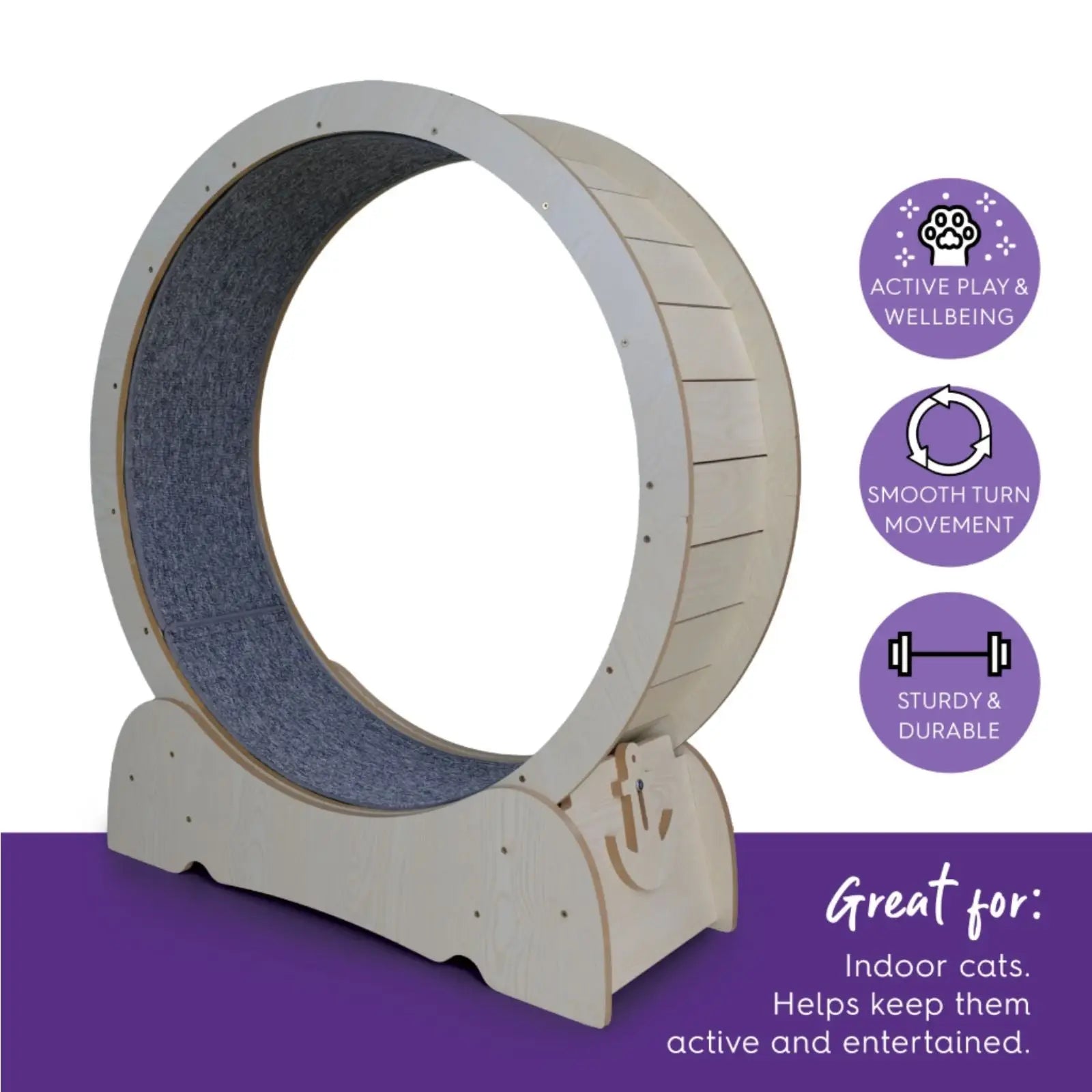 Kazoo Cat Workout Wheel Kazoo