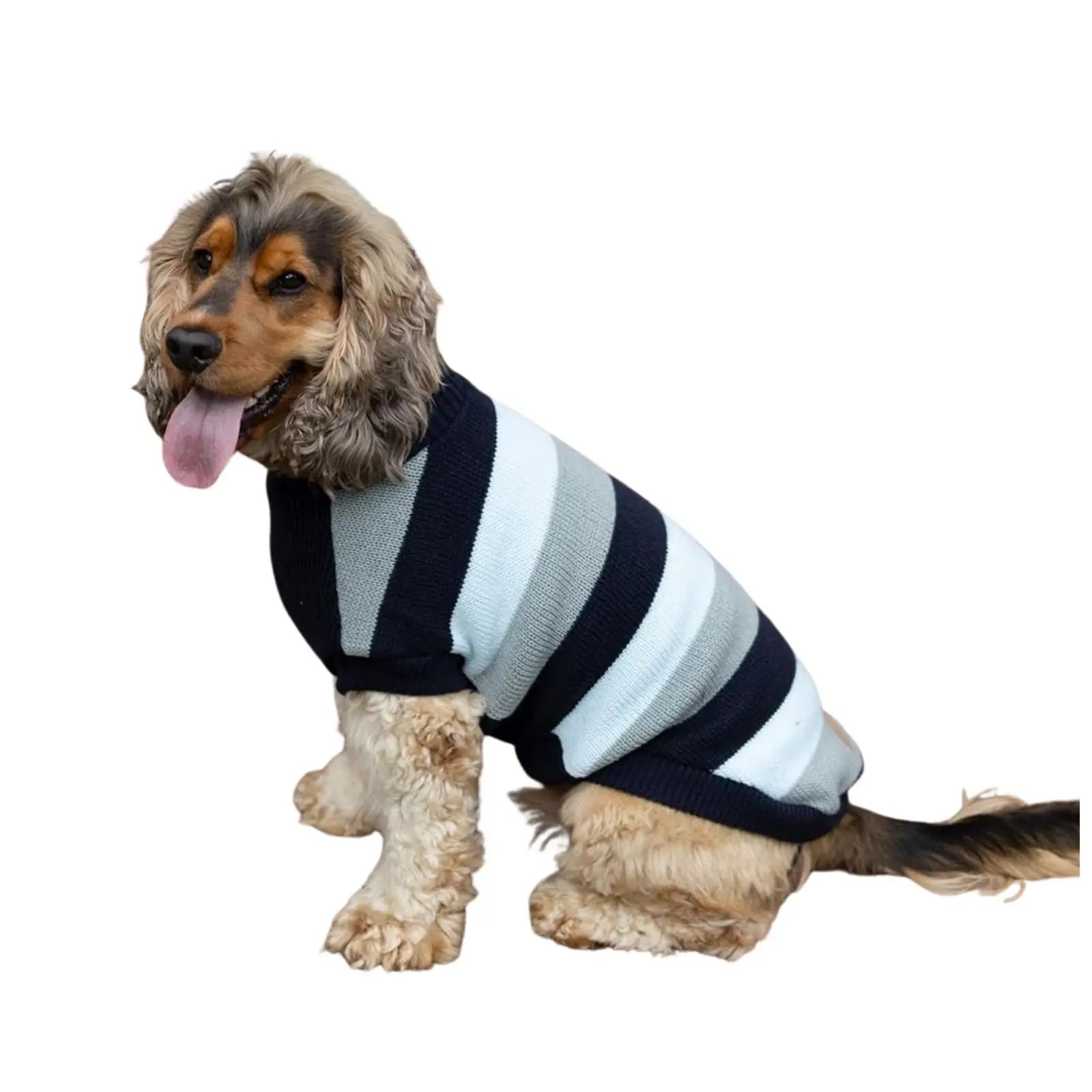 Kazoo Chestie Dog Jumper - Blue Kazoo