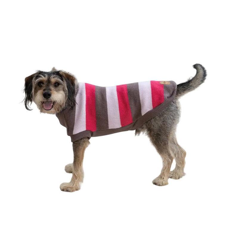 Kazoo Chestie Dog Jumper - Pink Kazoo