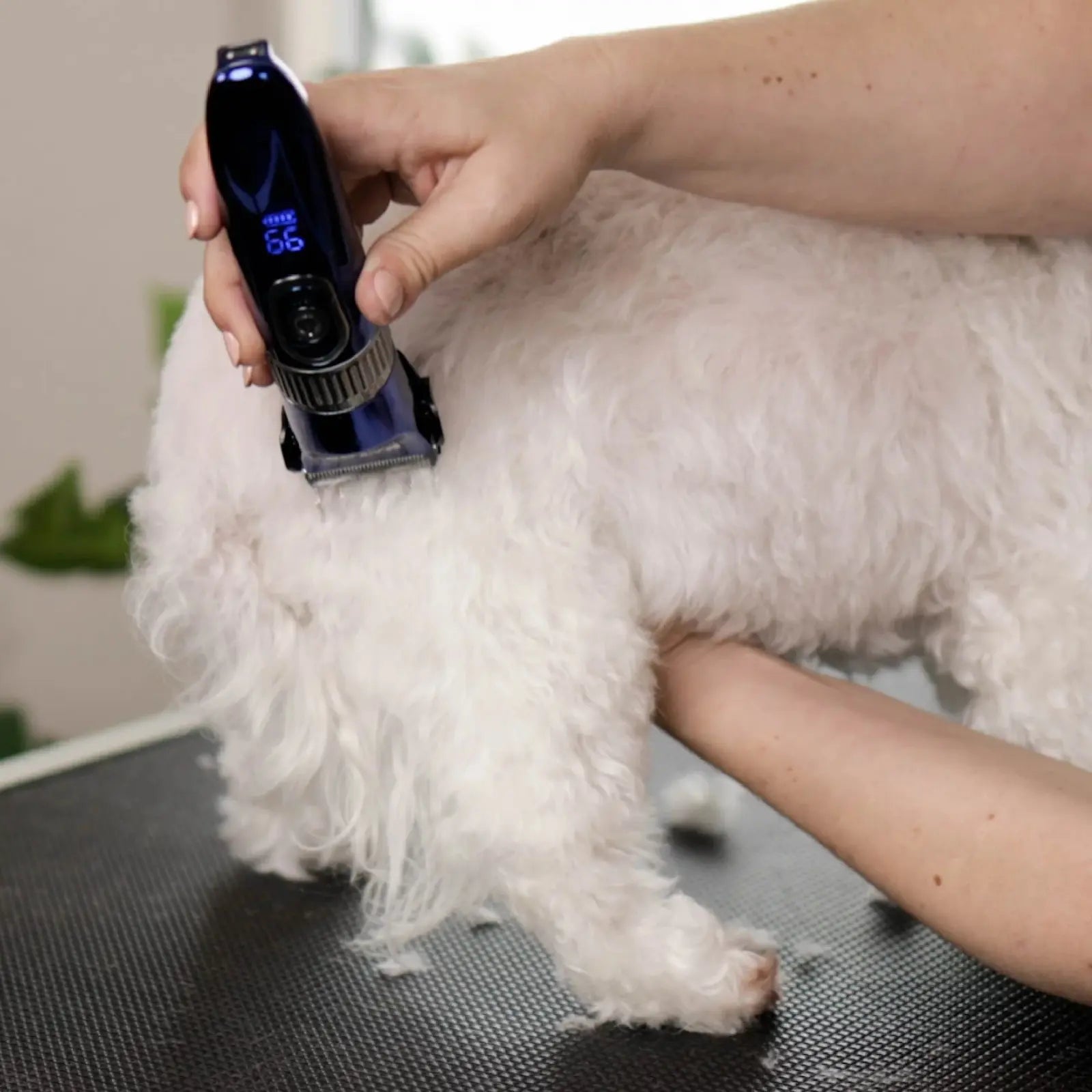 Kazoo Deluxe Waterproof Dog Clipper Kazoo