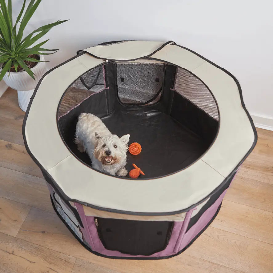Kazoo Foldable Pet Playpen - Kellyville Pets