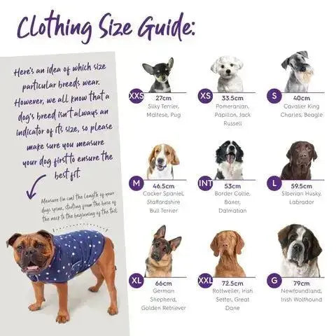 Kazoo Grey Wave Dog Jumper Kazoo