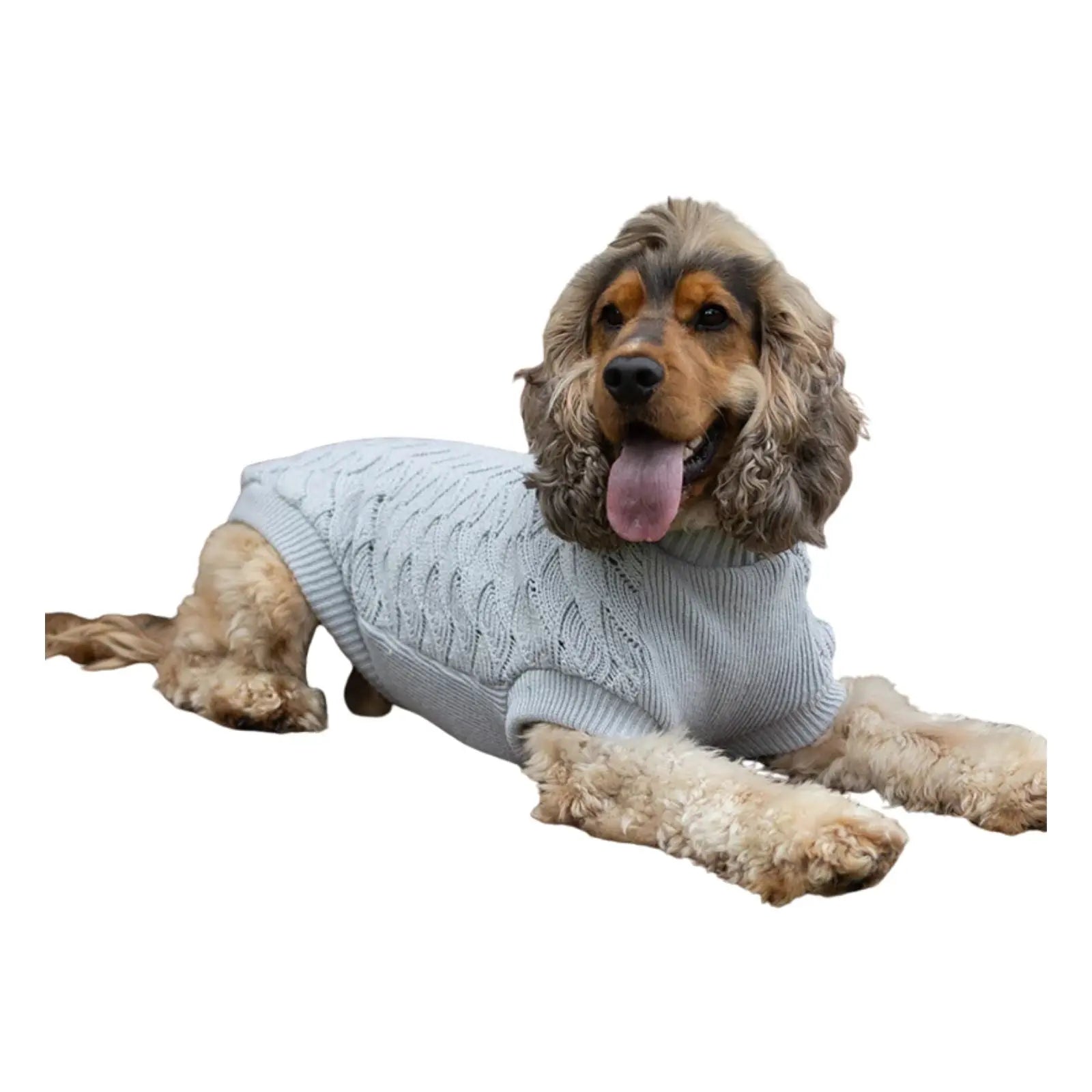 Kazoo Grey Wave Dog Jumper Kazoo