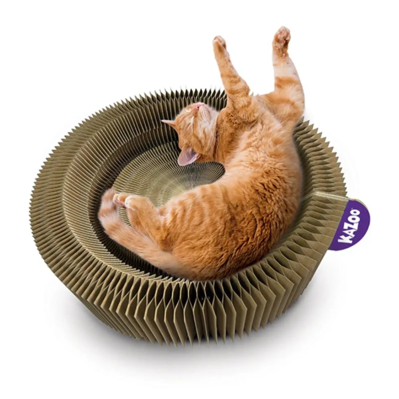 Kazoo Kitty Accordion Cardboard Bed w/Ball Kazoo