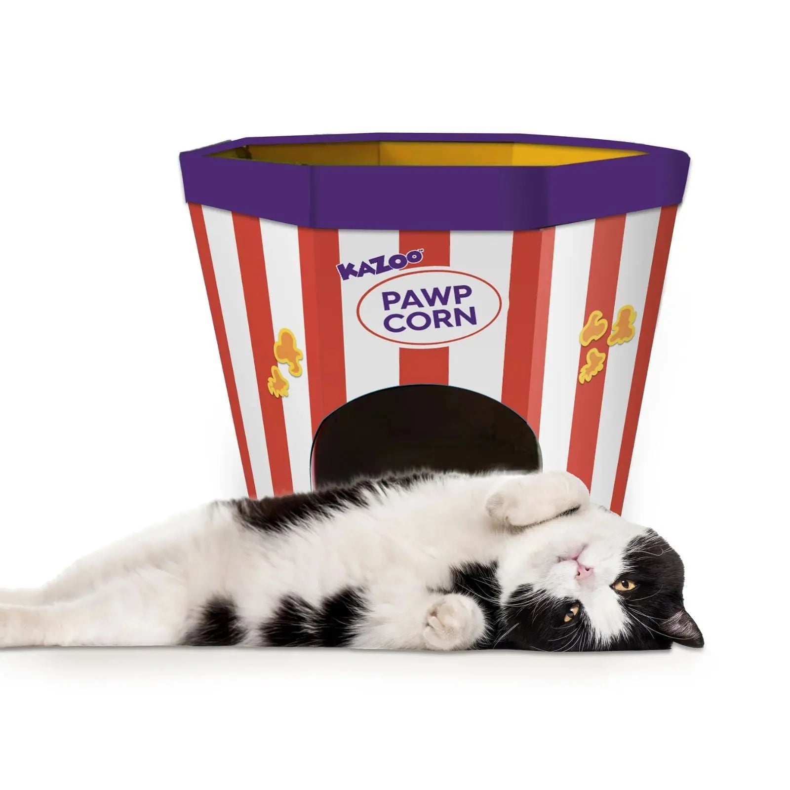 Kazoo Kitty Popcorn Cardboard House Kazoo
