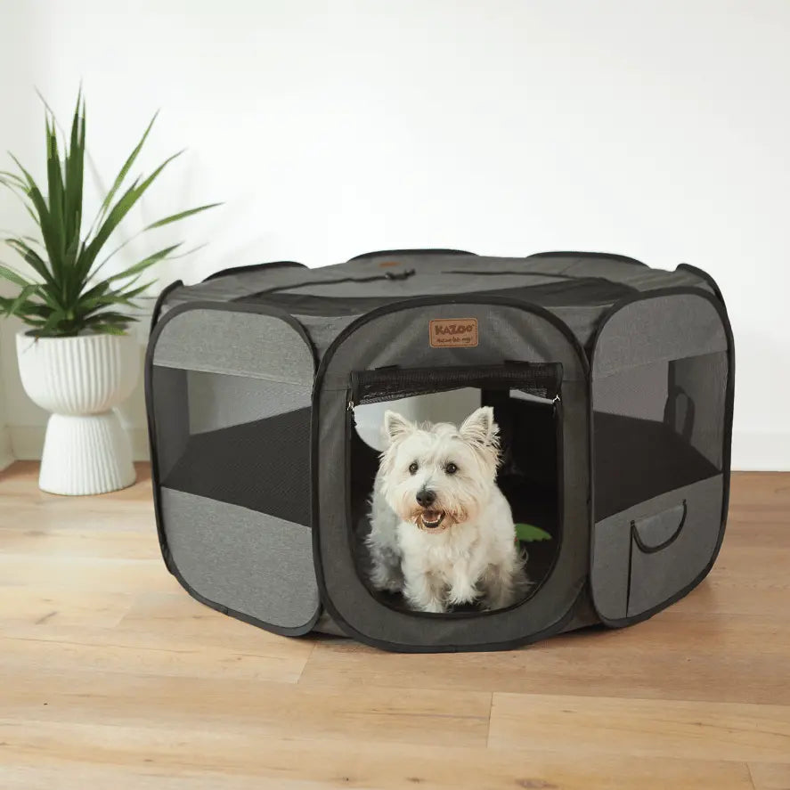 Kazoo Premium Pop Up Pet Playpen - Kellyville Pets