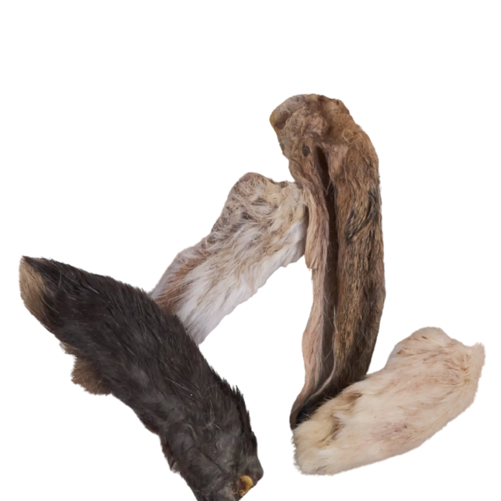 Kazoo Prime Cuts Bunny Ears 4pk For Cats Prime Cuts