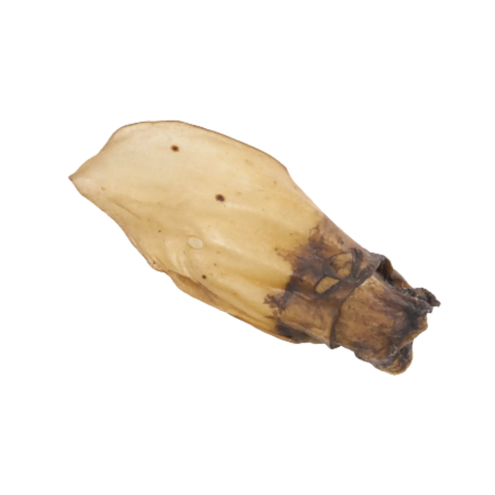 Kazoo Prime Cuts Cow Ear Prime Cuts