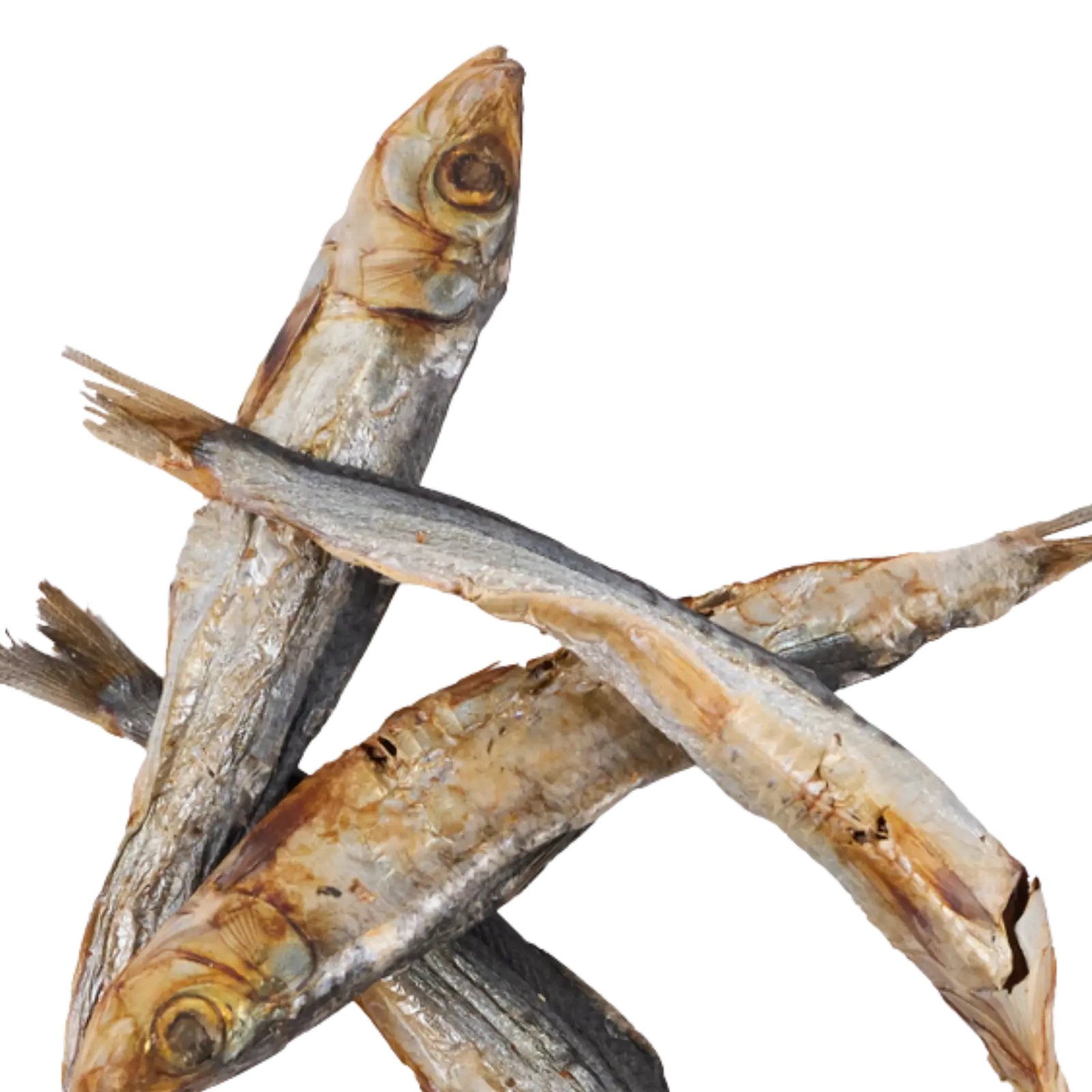 Kazoo Prime Cuts Sardines - 100g Prime Cuts