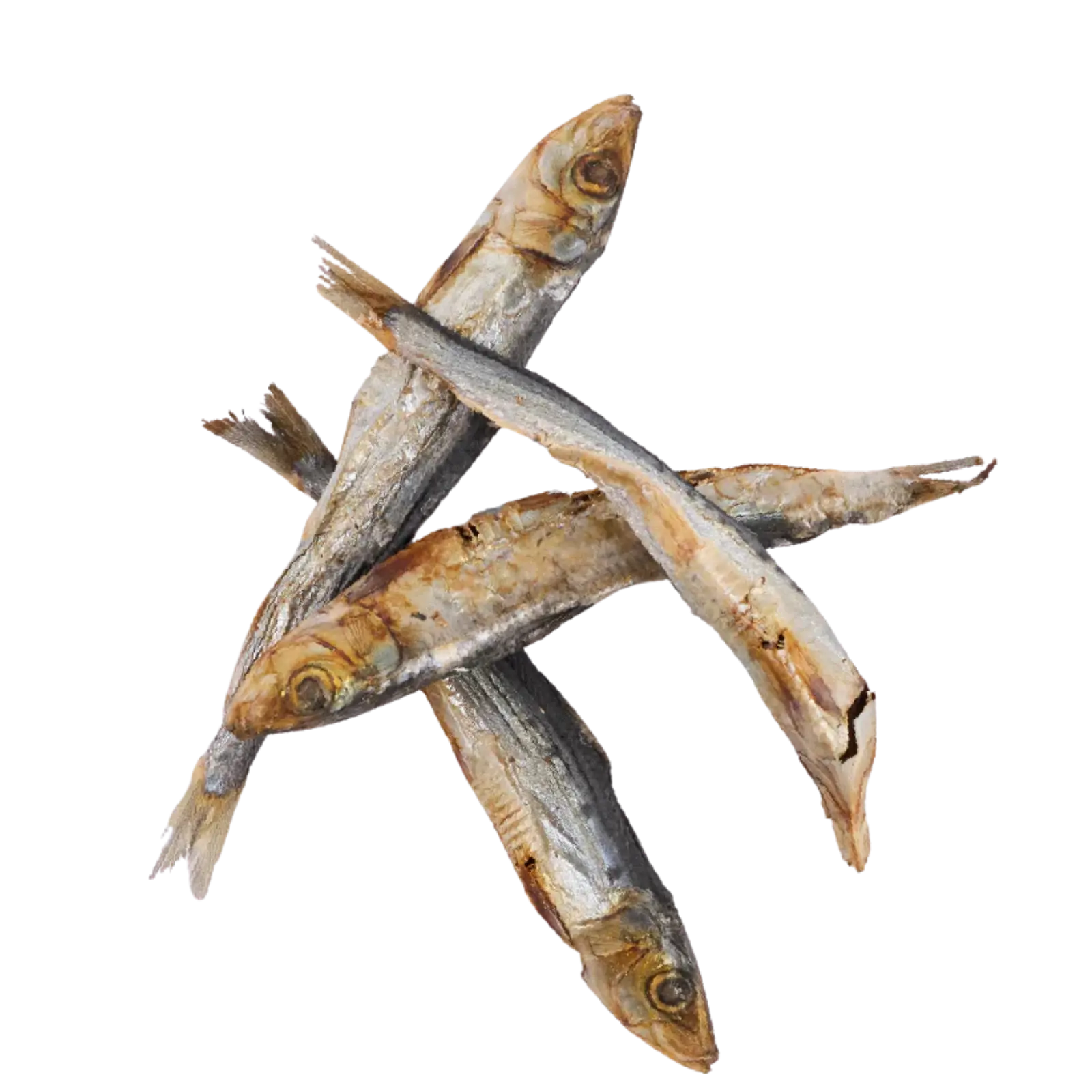 Kazoo Prime Cuts Sardines 60g For Cats Prime Cuts