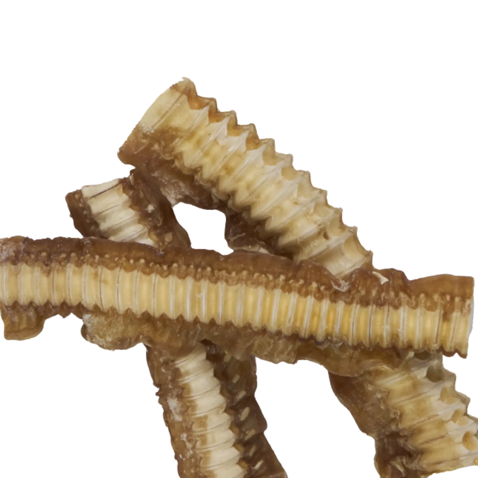 Kazoo Prime Cuts Shark Cartilage Dog Treats Prime Cuts