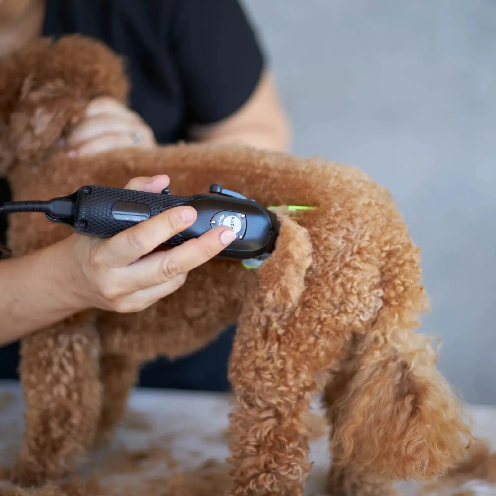 Kazoo Pro Clip Cordless Metal Dog Clipper Kazoo