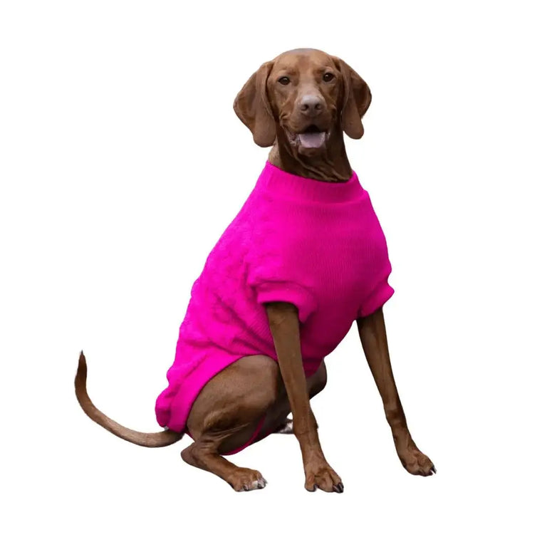 Kazoo Raspberry Pink Dog Jumper Kazoo