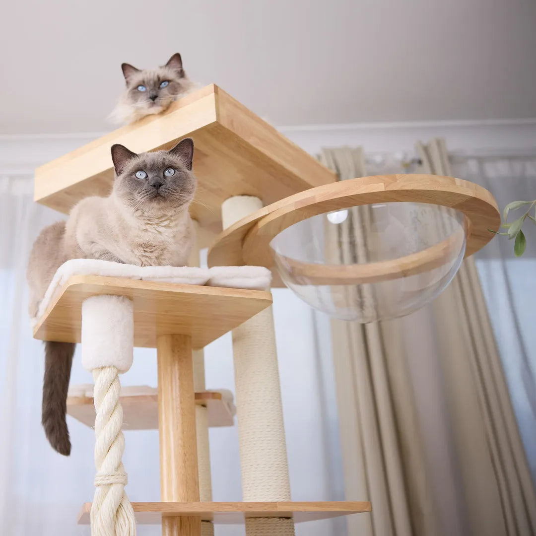 Kazoo Cat Scratcher - Scandi Cat Tree