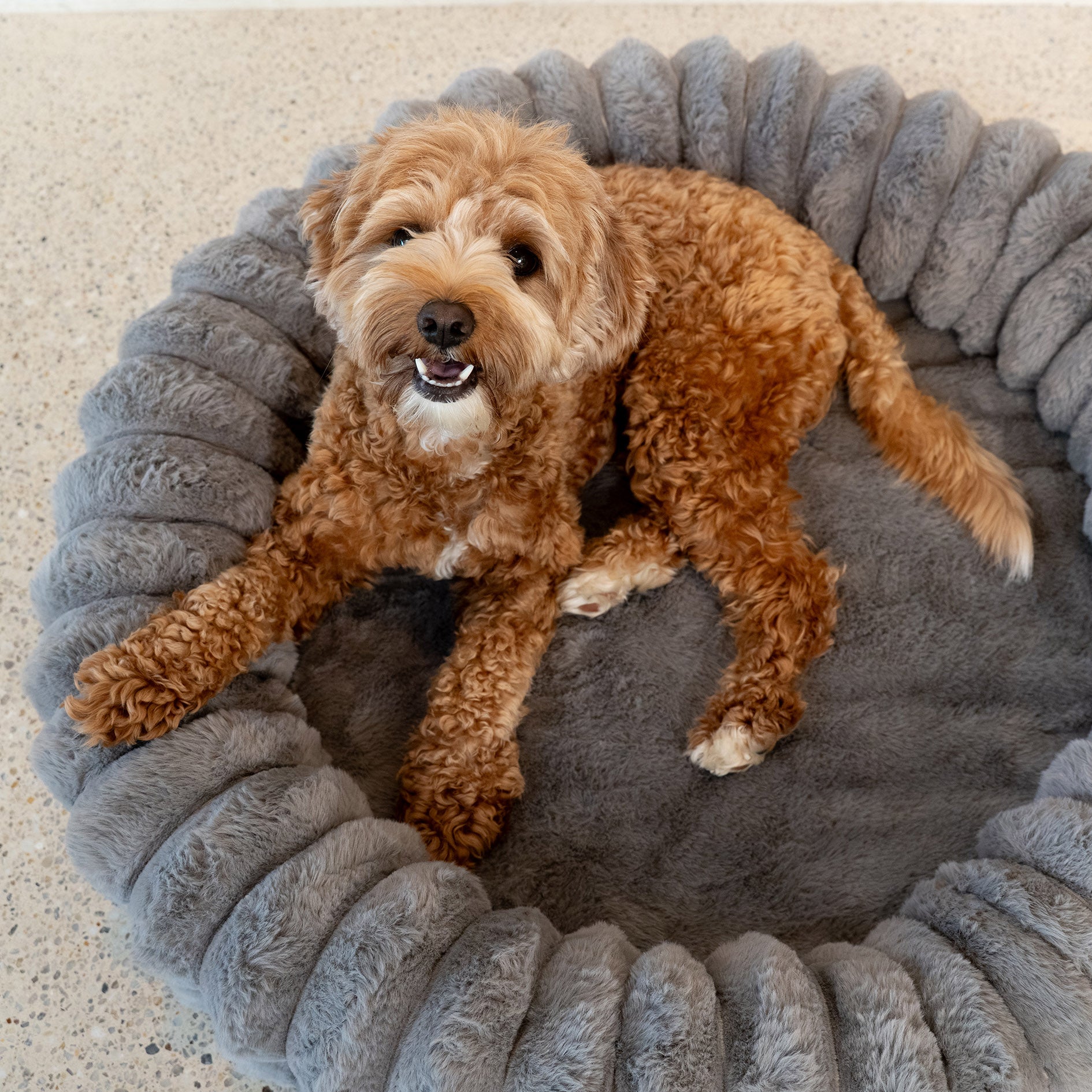 Kazoo Donut Snuggle Pet Bed - Grey