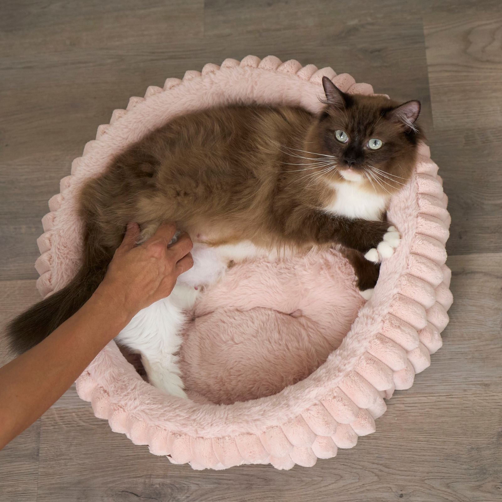 Kazoo Calming Nest Dog Bed - Pink