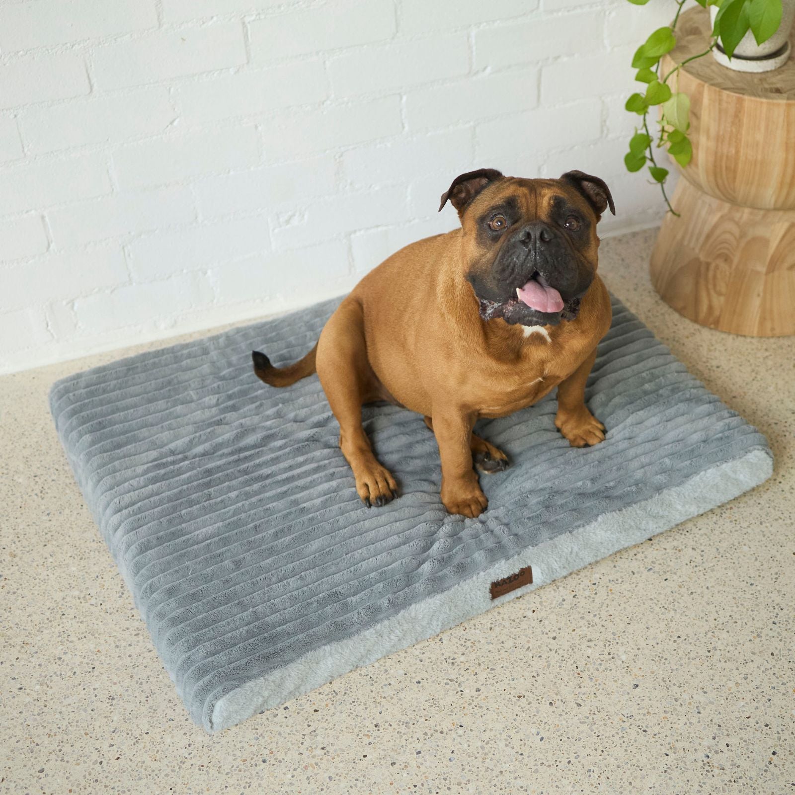 Kazoo Cosy Crate Mat