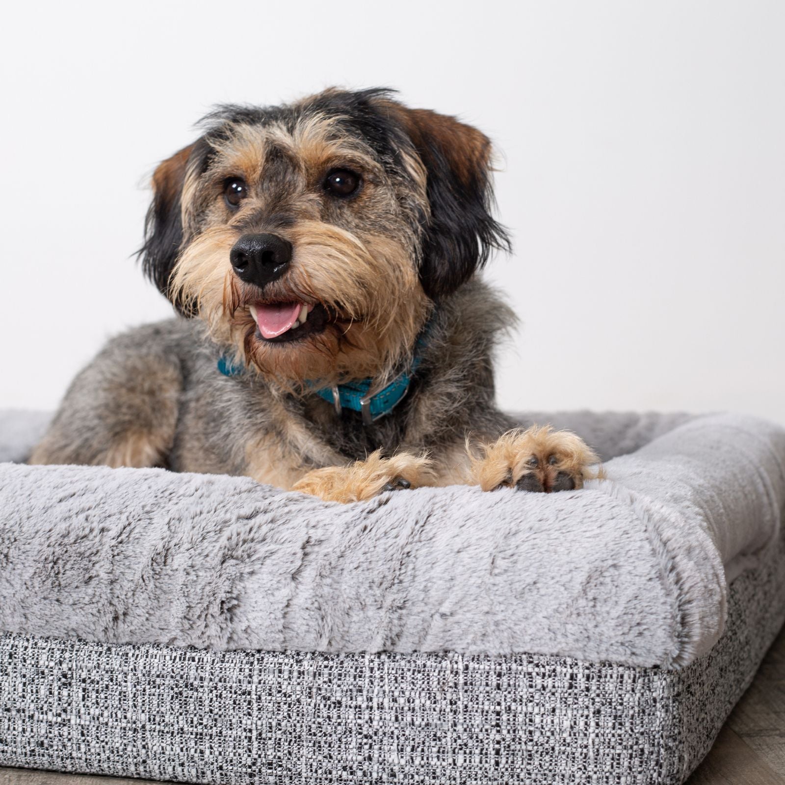 Kazoo Wombat Pet Bed - Cream Boucle