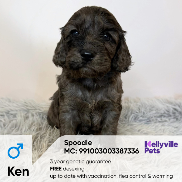 Ken