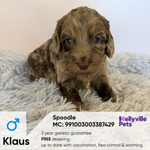 Klaus