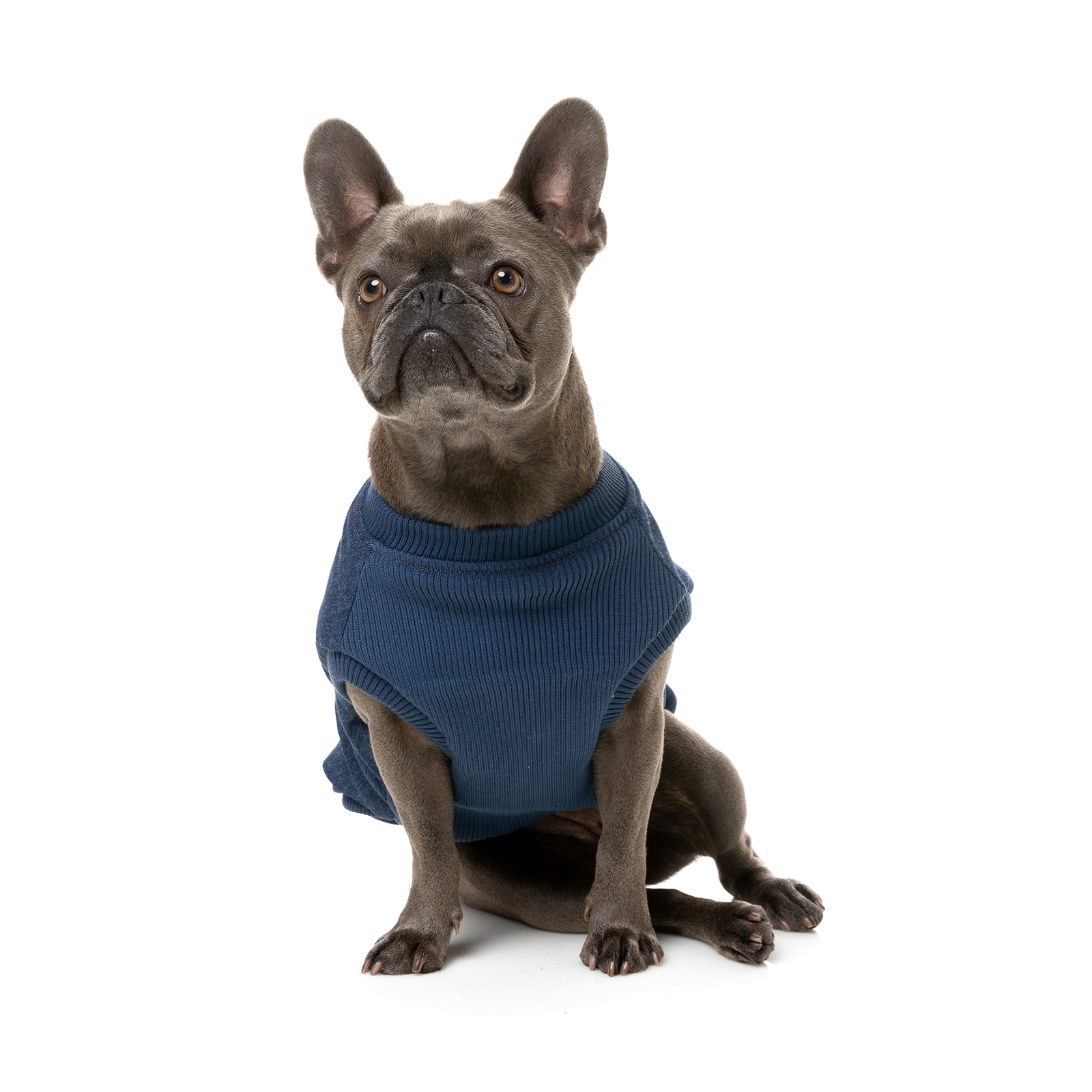 FuzzYard Dog Coat Kojima Harness Jacket