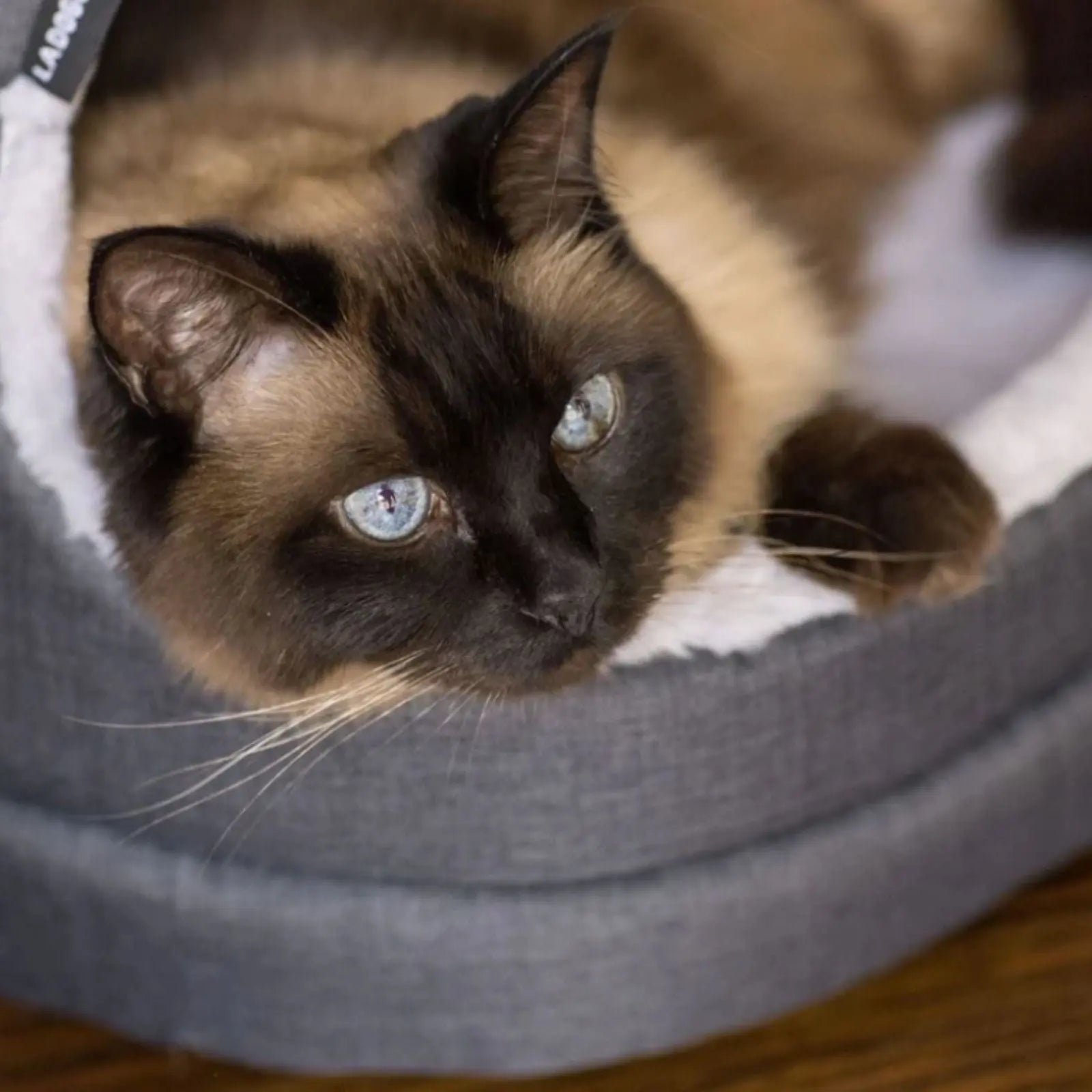 La Doggie Vita Water Resistant Oxford Charcoal Hooded Cat Bed La Doggie Vita