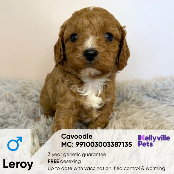 Leroy