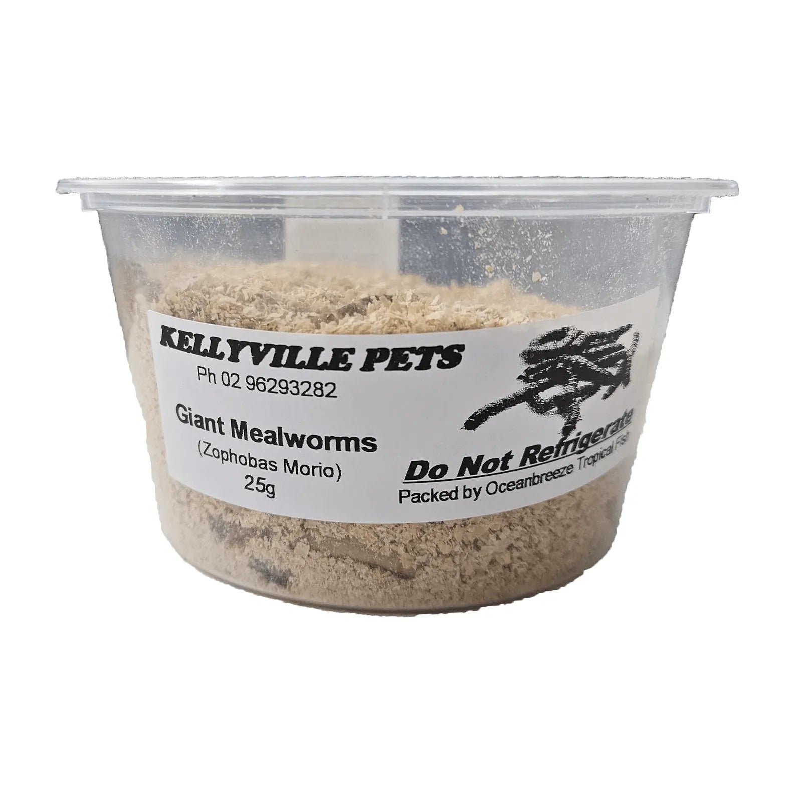 Live Giant Mealworms - Kellyville Pets