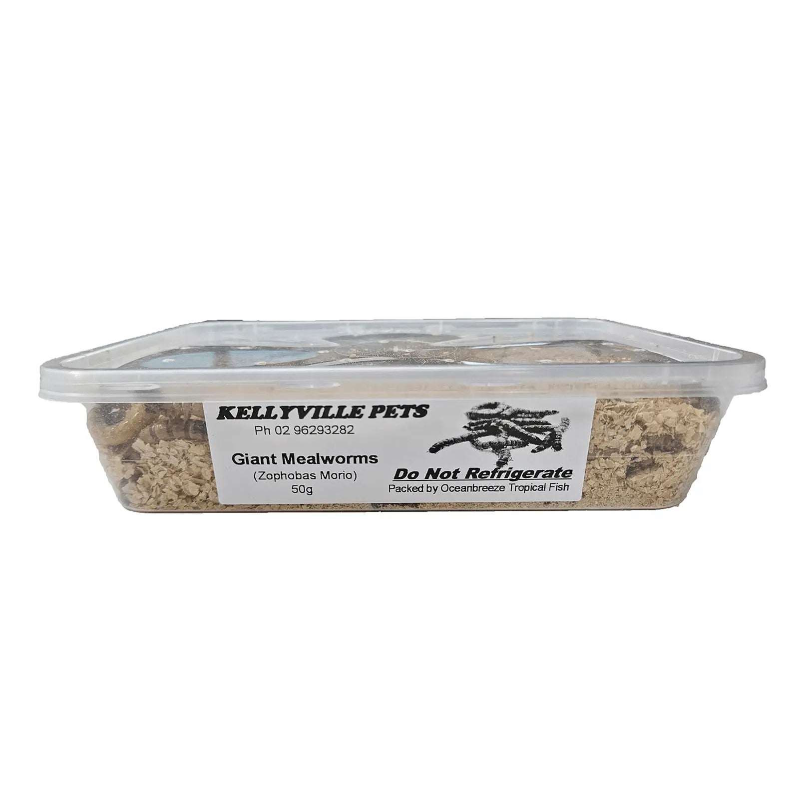Live Giant Mealworms - Kellyville Pets