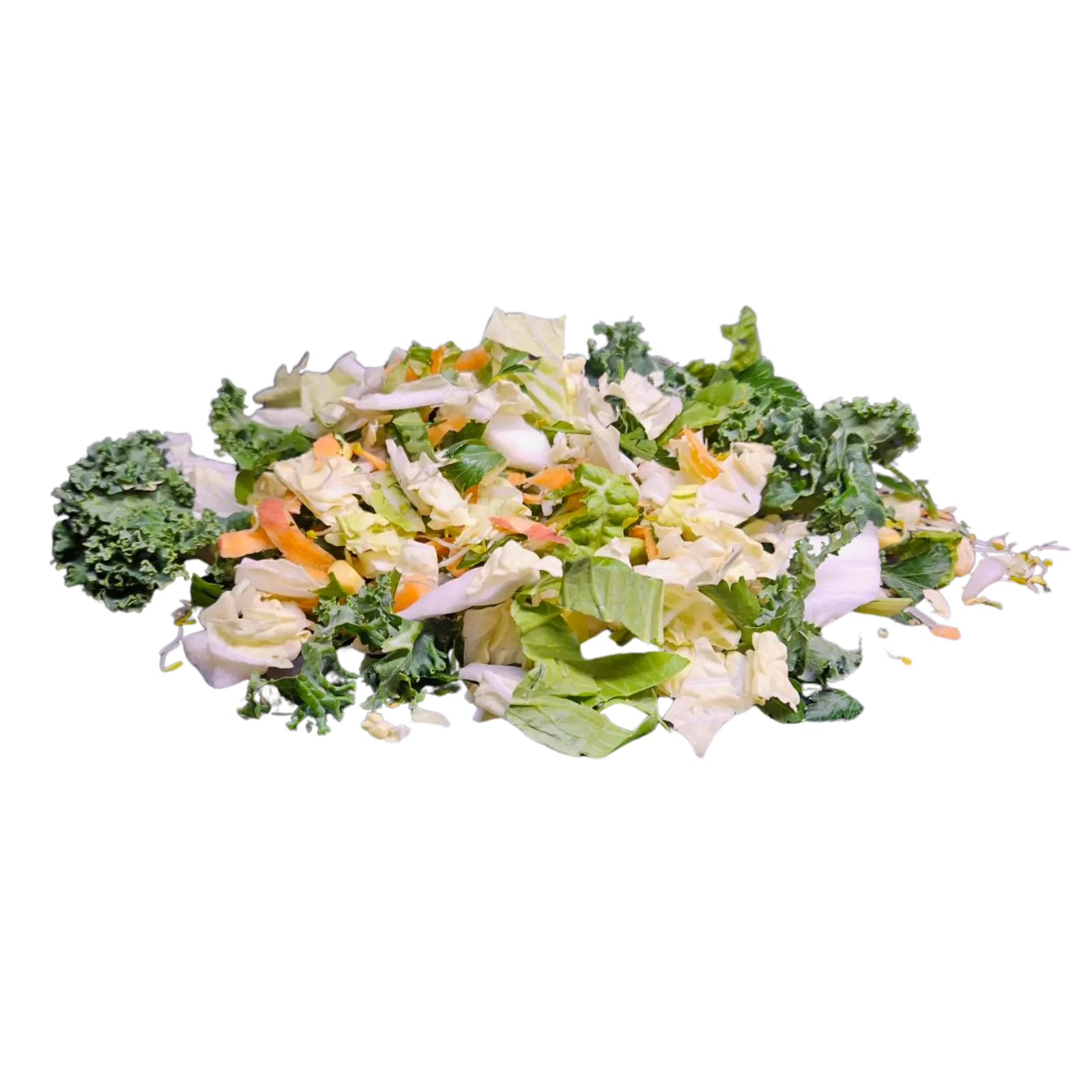 Lizard Veggie Mix Kellyville Pets