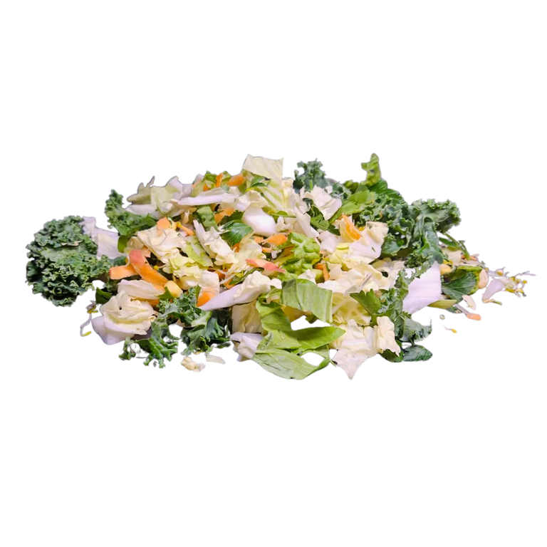 Lizard Veggie Mix Kellyville Pets