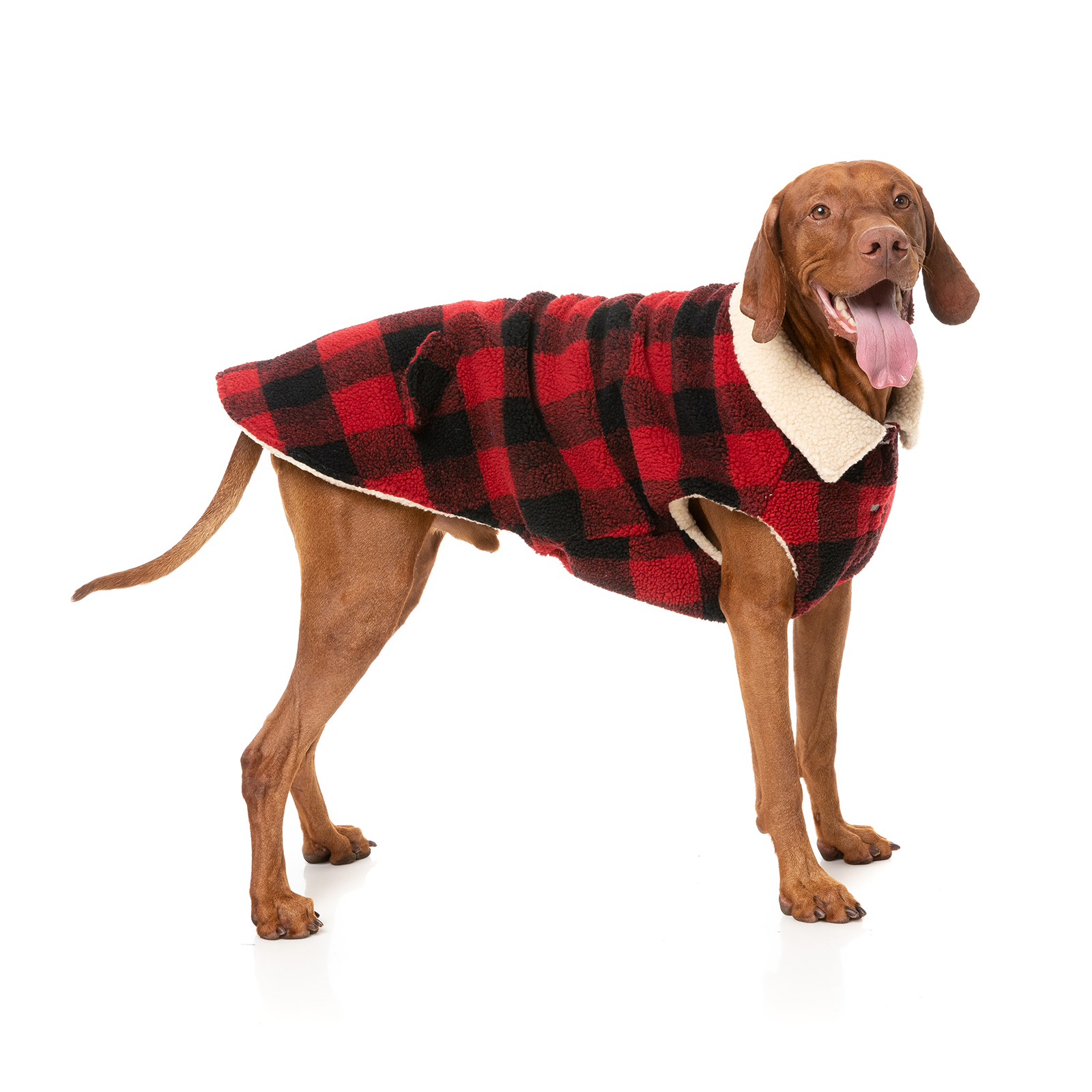 FuzzYard Dog Coat The Lumberjack