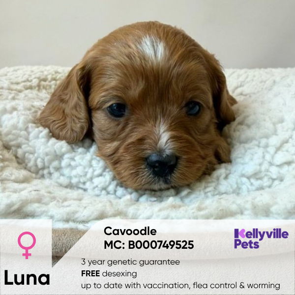 Luna