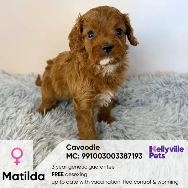 Matilda Gretchen