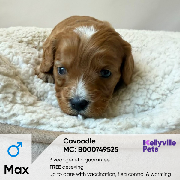 Max