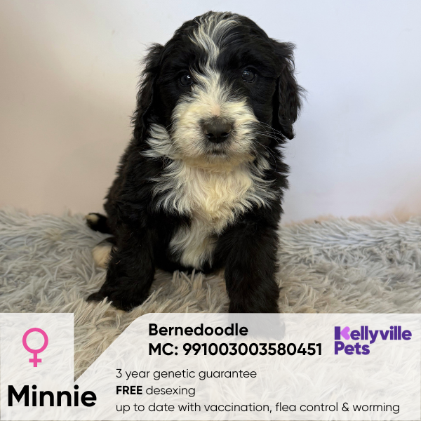 Minnie