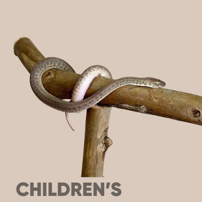 Children's and Spotted Python Care Guide: Everything You Need To Know