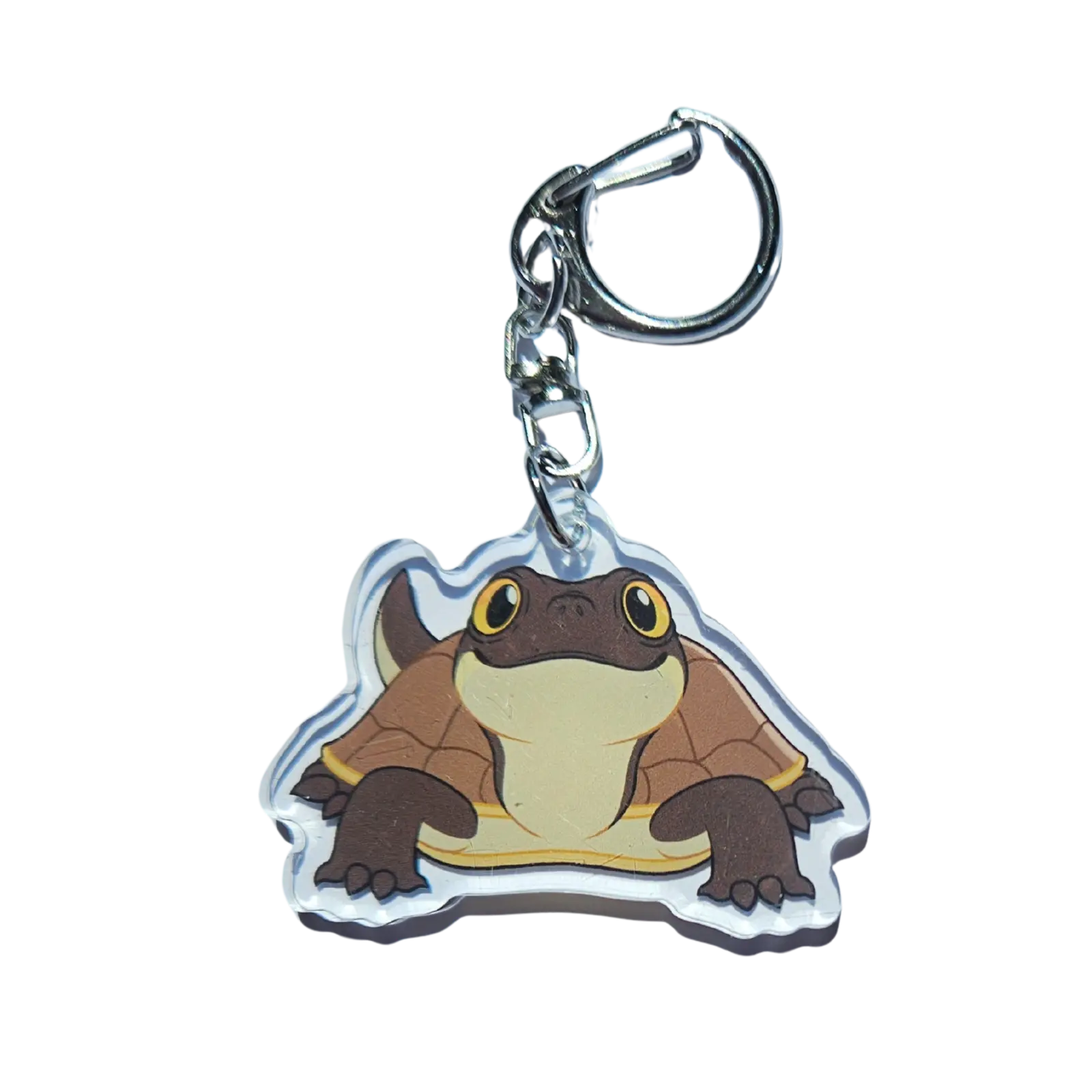 Murray Turtle Acrylic Keychain Hecko Gecko