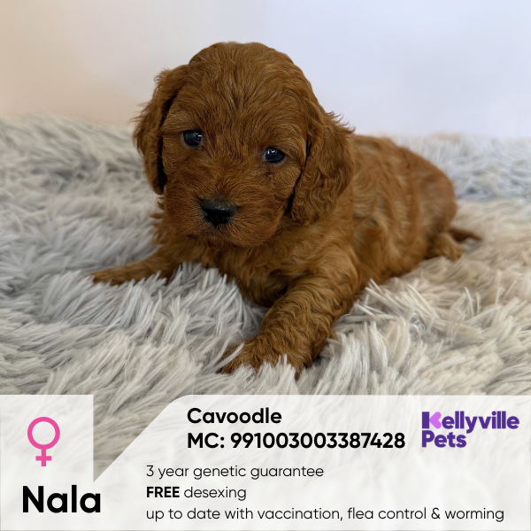 Nala