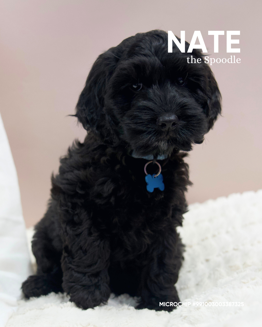 Nate