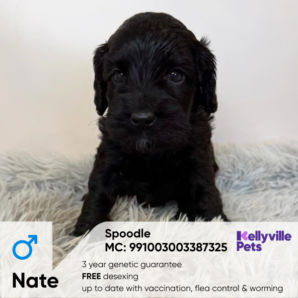 Nate