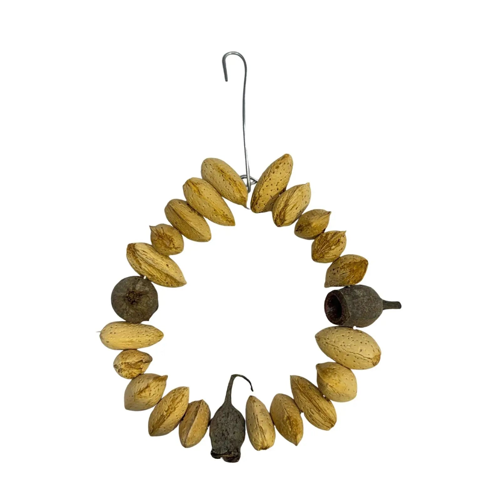 Natural Almond Ring for Birds Bird Nerd