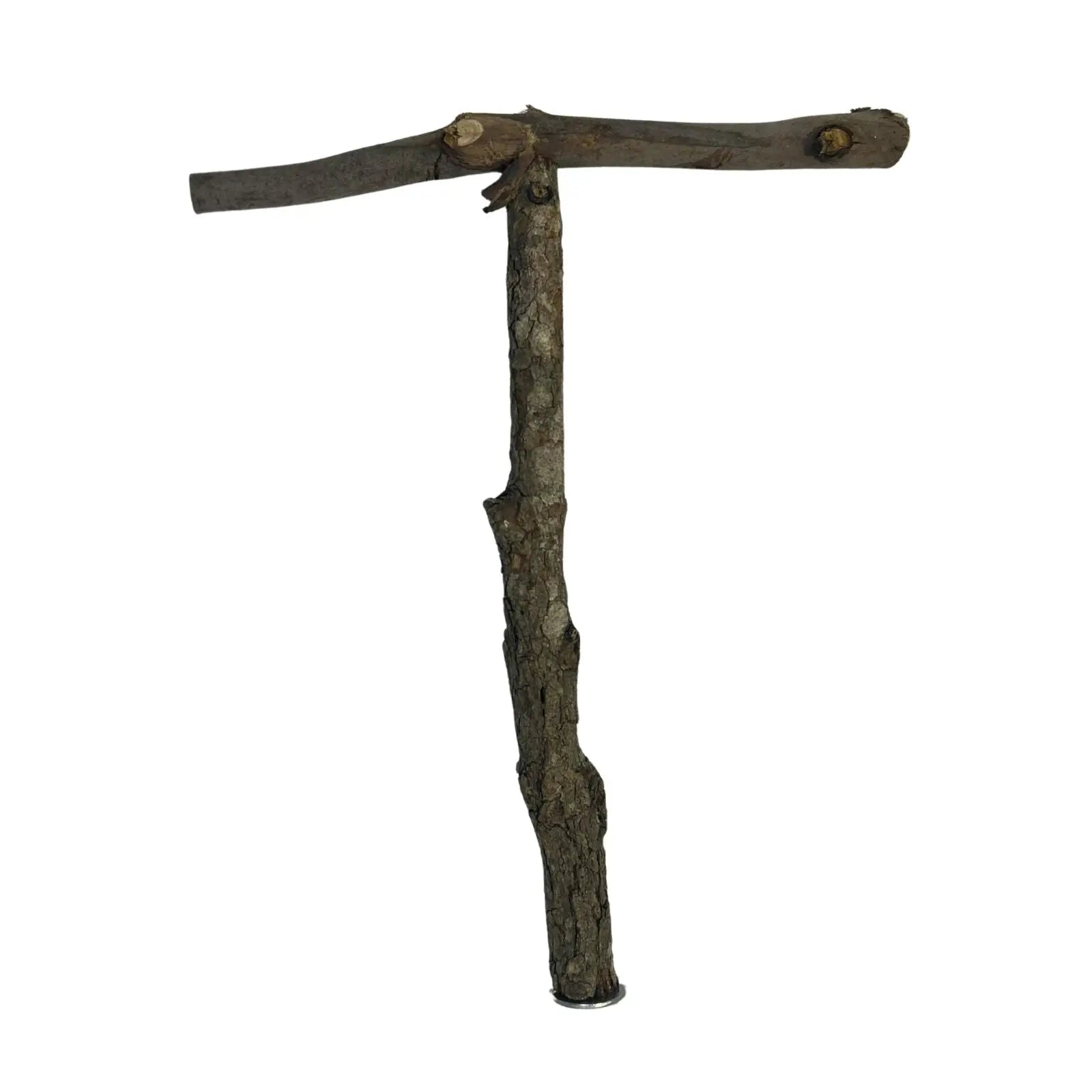 Natural Bird T-Perch with Wing Nut Attachment Kellyville Pets