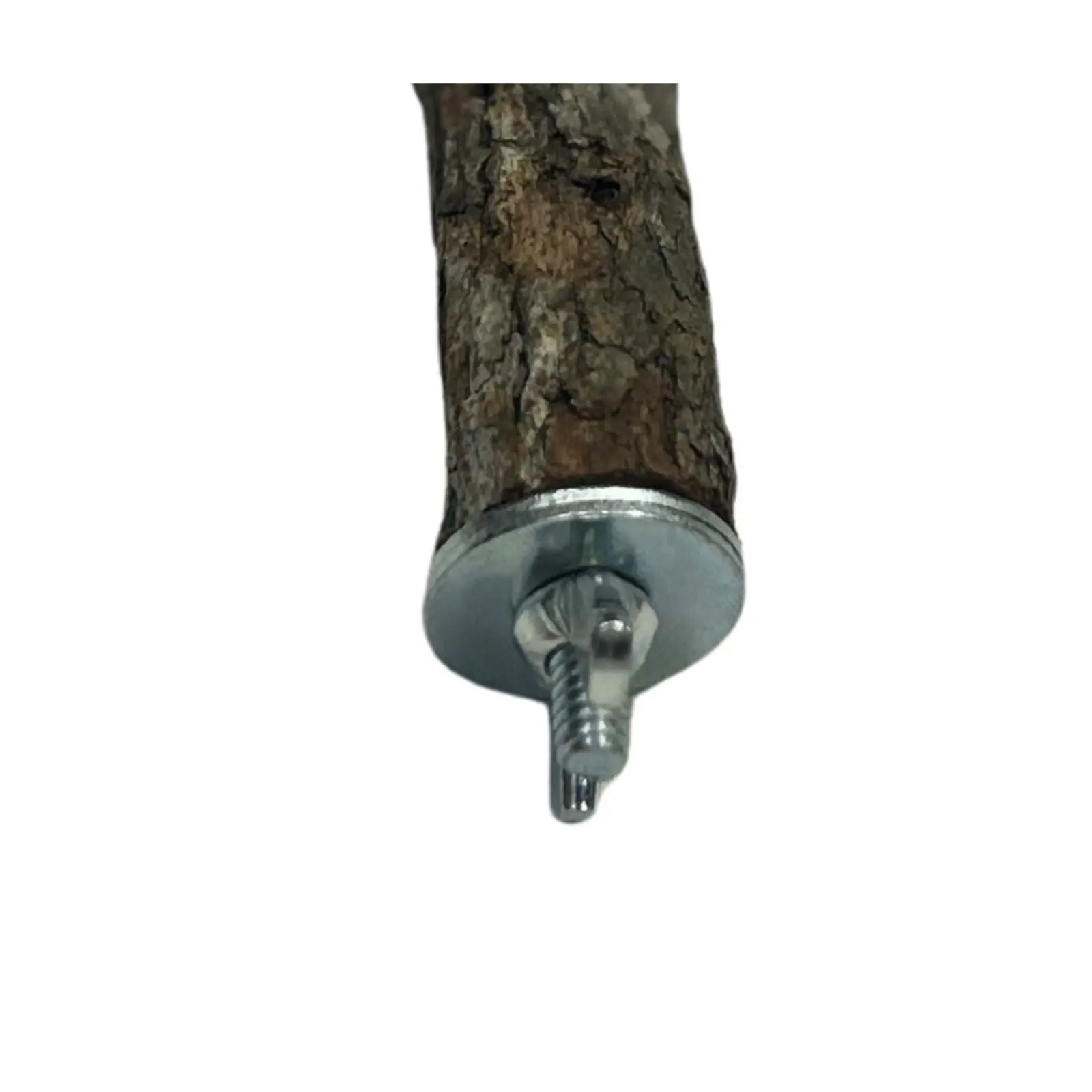 Natural Bird T-Perch with Wing Nut Attachment Kellyville Pets