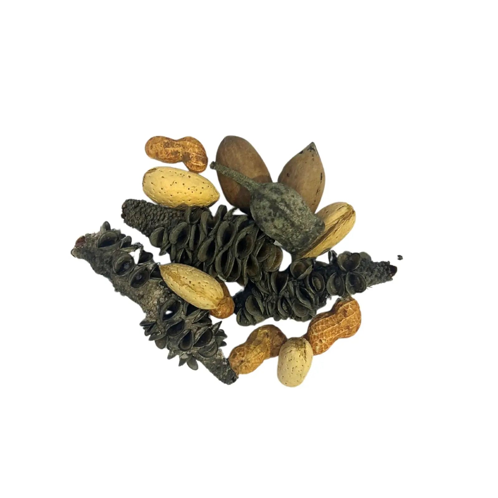 Natural Mixed Nuts for Birds Bird Nerd