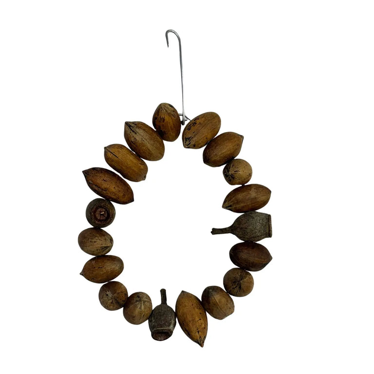 Natural Pecan Ring for Birds Bird Nerd