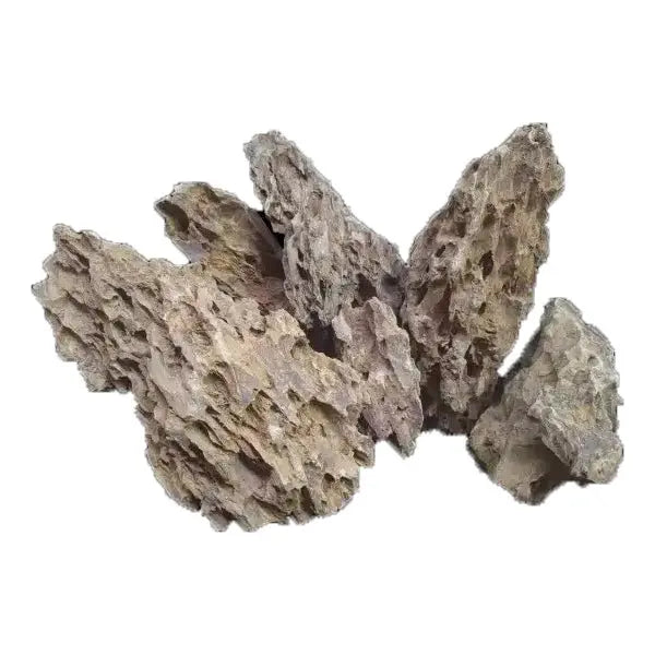 Natural Rock Dragon Stone PER KILO - Kellyville Pets