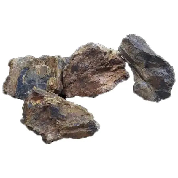 Natural Rock Petrified Wood PER KILO - Kellyville Pets