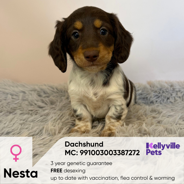 Nesta